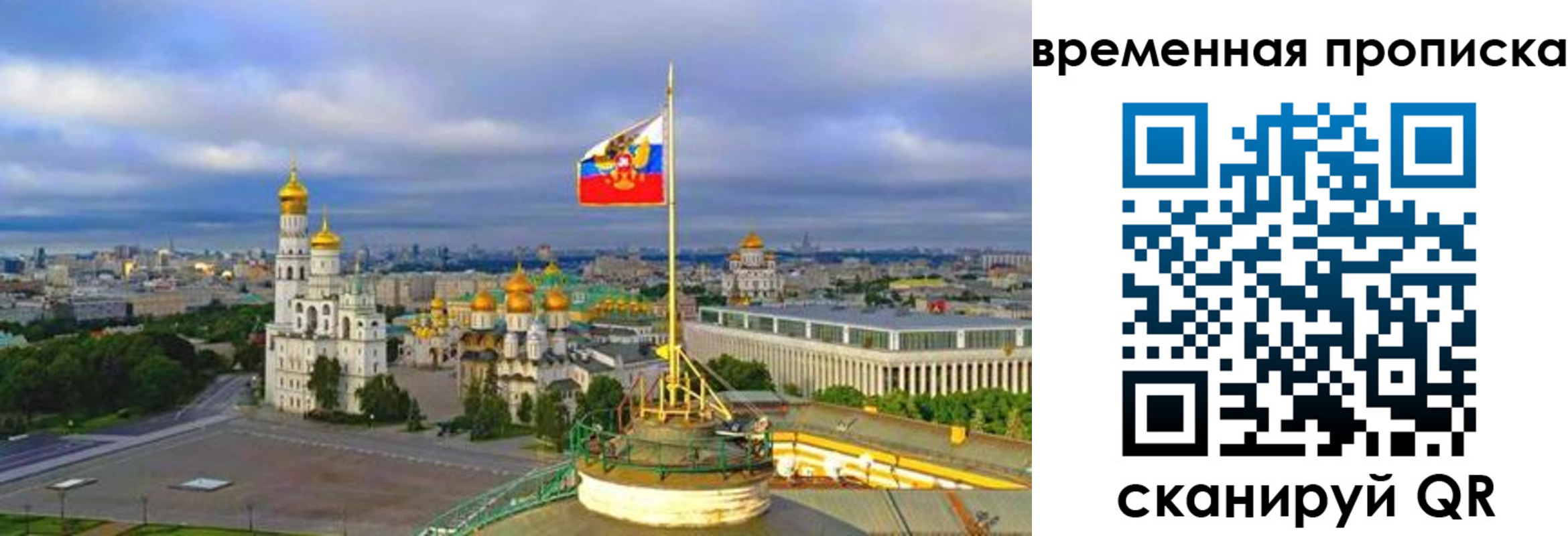 прописка в Ельне